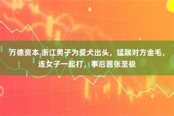 万德资本 浙江男子为爱犬出头，猛踹对方金毛，连女子一起打，事后嚣张至极