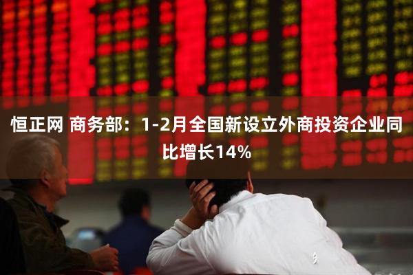 恒正网 商务部:1-2月全国新设立外商投资企业同比增长14%