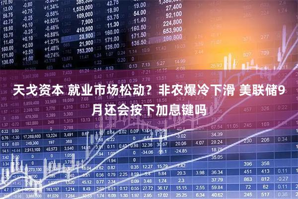 天戈资本 就业市场松动？非农爆冷下滑 美联储9月还会按下加息键吗