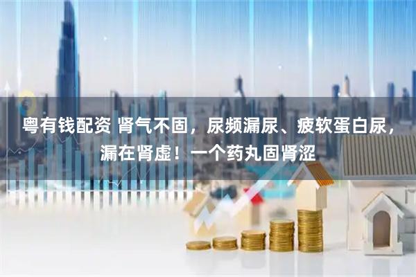 粤有钱配资 肾气不固，尿频漏尿、疲软蛋白尿，漏在肾虚！一个药丸固肾涩